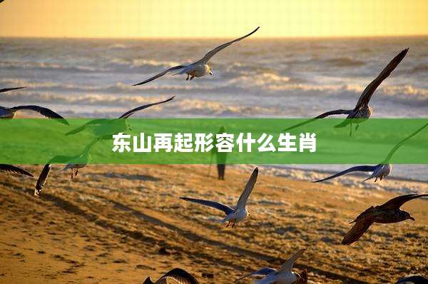东山再起形容什么生肖