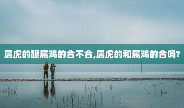 属虎的跟属鸡的合不合,属虎的和属鸡的合吗?