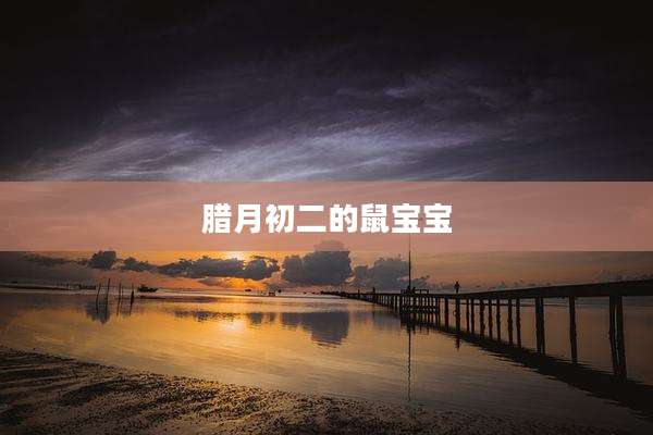 腊月初二的鼠宝宝
