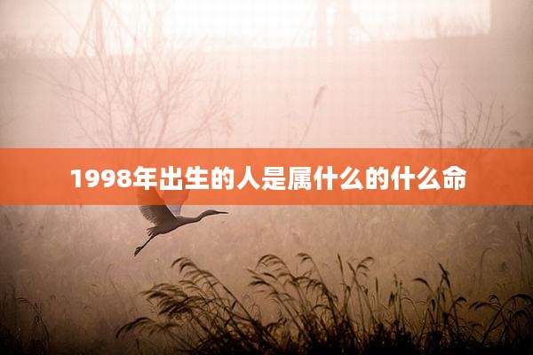 1998年出生的人是属什么的什么命
