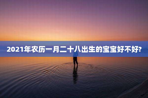 2021年农历一月二十八出生的宝宝好不好?