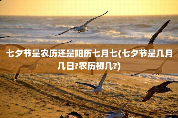 七夕节是农历还是阳历七月七(七夕节是几月几日?农历初几?)