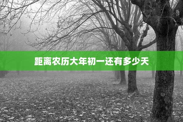 距离农历大年初一还有多少天