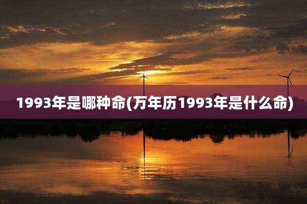 1993年是哪种命(万年历1993年是什么命)