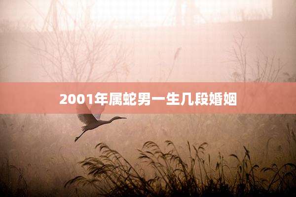 2001年属蛇男一生几段婚姻