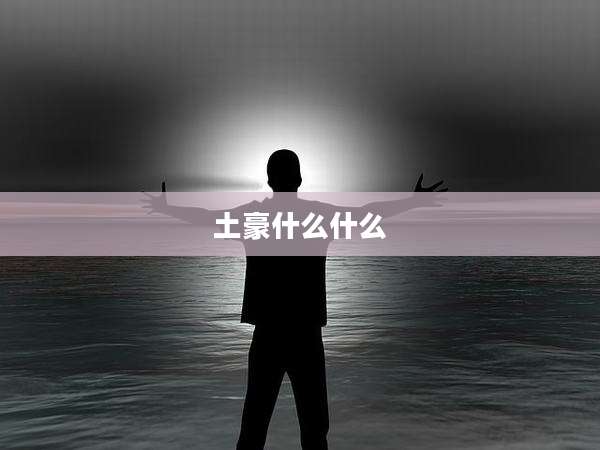 土豪什么什么