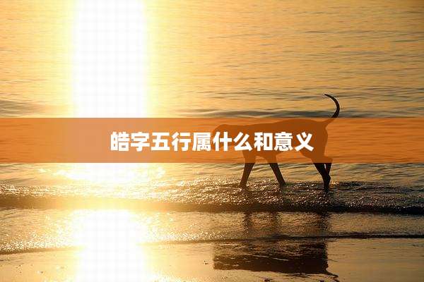 皓字五行属什么和意义
