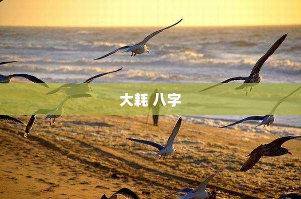 大耗 八字