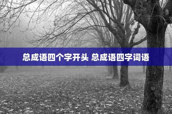 总成语四个字开头 总成语四字词语
