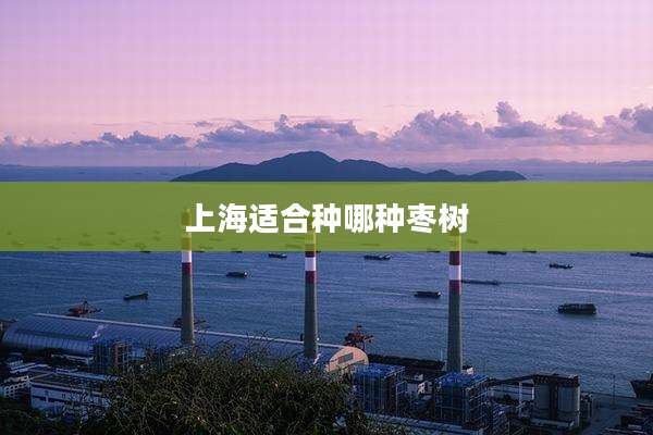 上海适合种哪种枣树
