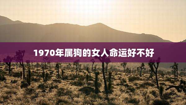 1970年属狗的女人命运好不好