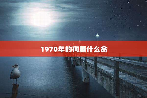1970年的狗属什么命