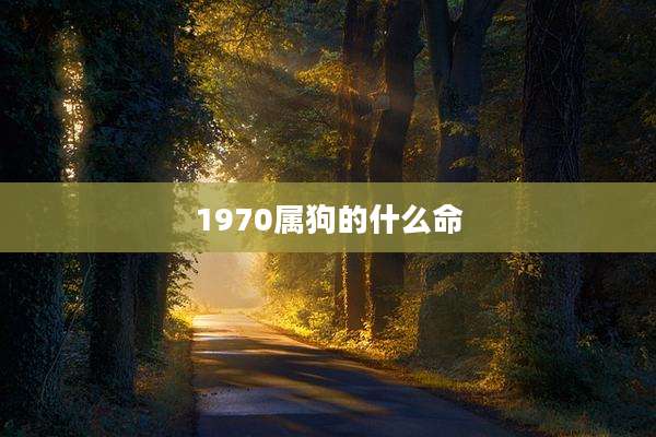 1970属狗的什么命