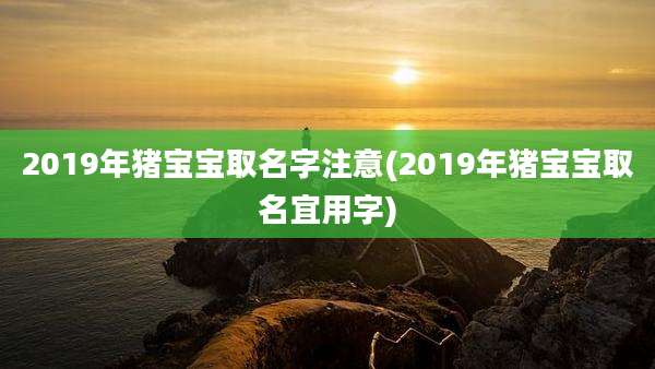 2019年猪宝宝取名字注意(2019年猪宝宝取名宜用字)