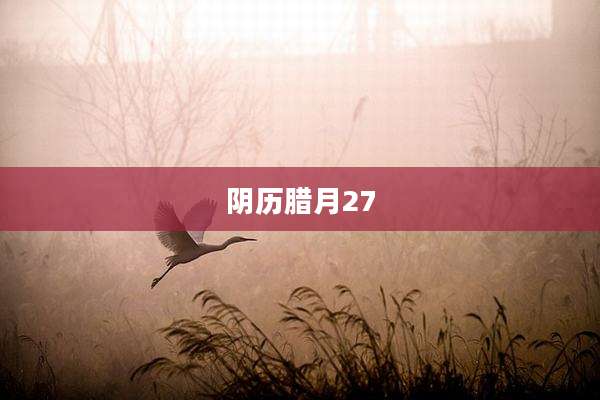 阴历腊月27