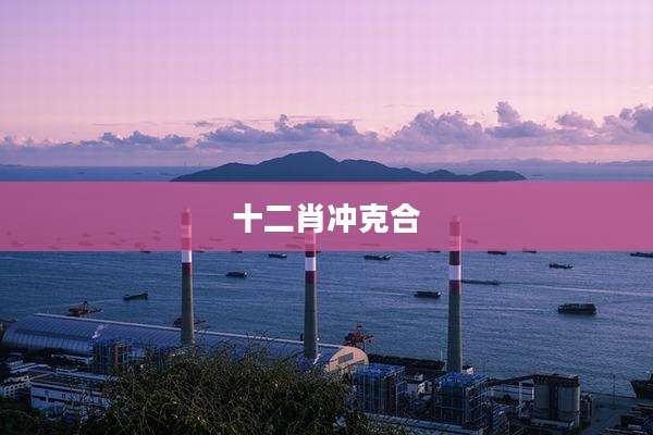 十二肖冲克合