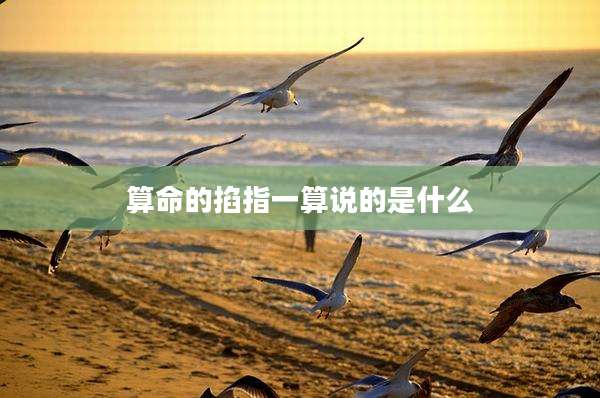 算命的掐指一算说的是什么