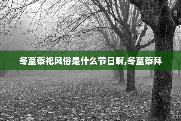 冬至蔡祀风俗是什么节日啊,冬至蔡拜