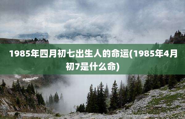 1985年四月初七出生人的命运(1985年4月初7是什么命)