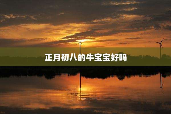正月初八的牛宝宝好吗