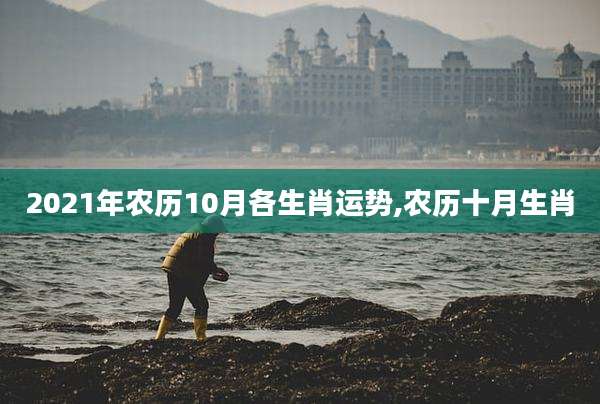 2021年农历10月各生肖运势,农历十月生肖