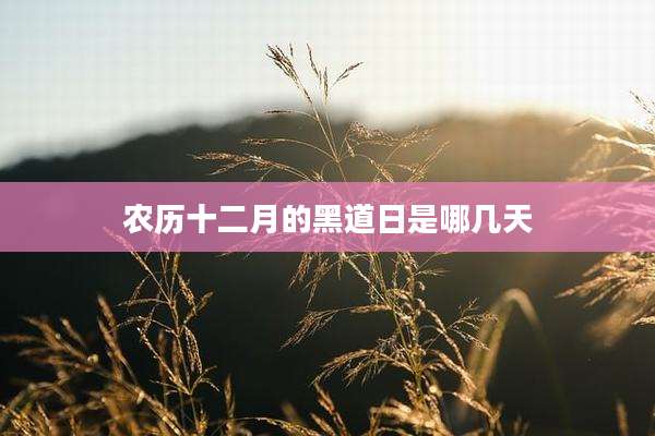 农历十二月的黑道日是哪几天