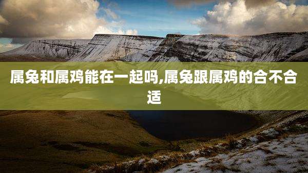 属兔和属鸡能在一起吗,属兔跟属鸡的合不合适