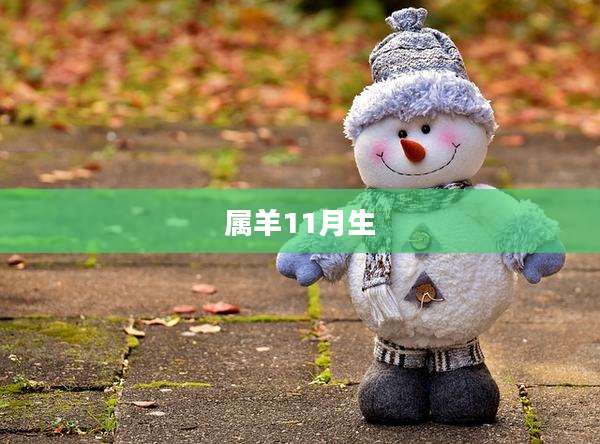 属羊11月生