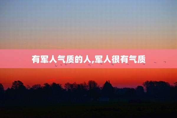 有军人气质的人,军人很有气质