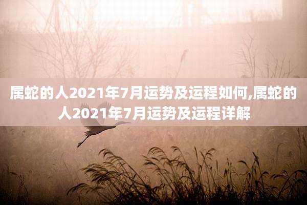 属蛇的人2021年7月运势及运程如何,属蛇的人2021年7月运势及运程详解