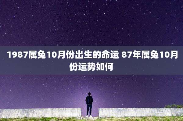 1987属兔10月份出生的命运 87年属兔10月份运势如何
