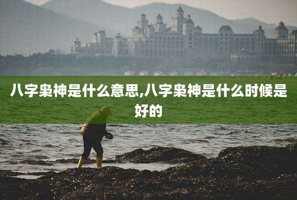 八字枭神是什么意思,八字枭神是什么时候是好的