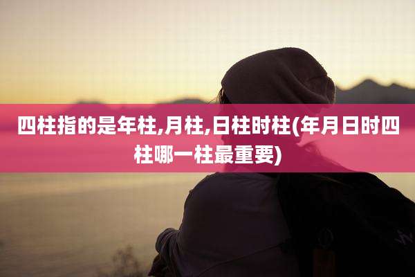 四柱指的是年柱,月柱,日柱时柱(年月日时四柱哪一柱最重要)
