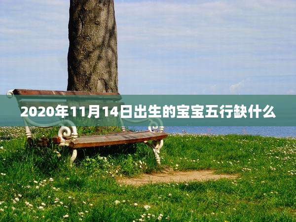 2020年11月14日出生的宝宝五行缺什么