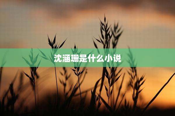 沈涵珊是什么小说