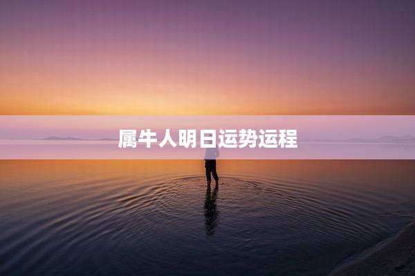 属牛人明日运势运程