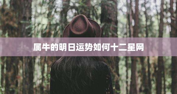 属牛的明日运势如何十二星网
