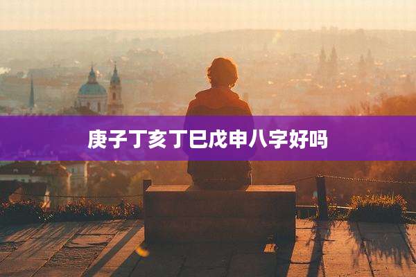 庚子丁亥丁巳戊申八字好吗