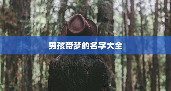 男孩带梦的名字大全