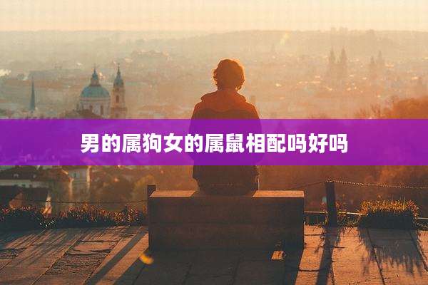 男的属狗女的属鼠相配吗好吗
