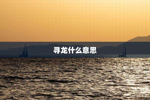 寻龙什么意思