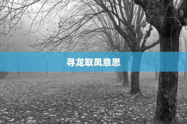 寻龙取凤意思