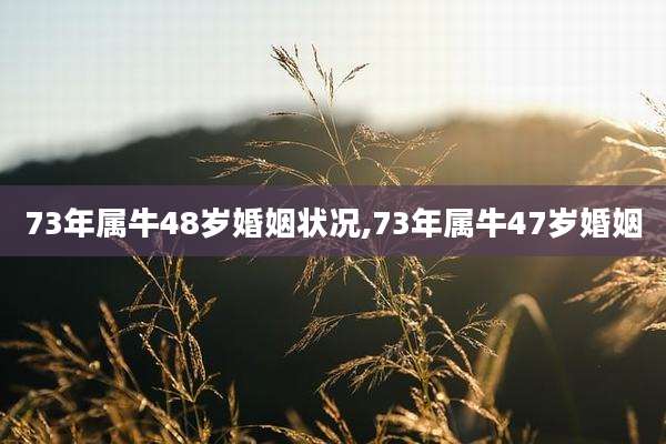 73年属牛48岁婚姻状况,73年属牛47岁婚姻