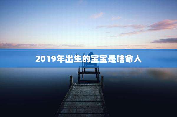 2019年出生的宝宝是啥命人