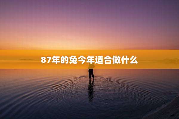 87年的兔今年适合做什么