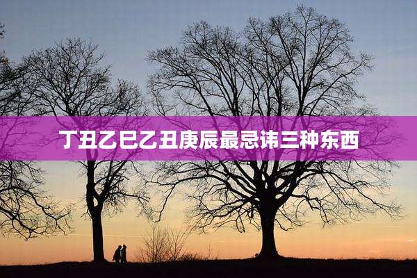 丁丑乙巳乙丑庚辰最忌讳三种东西