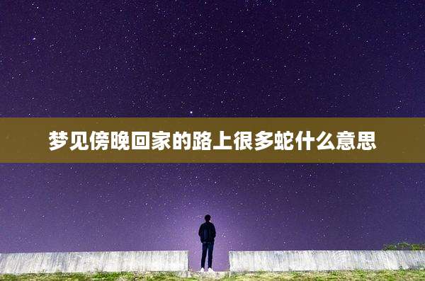 梦见傍晚回家的路上很多蛇什么意思