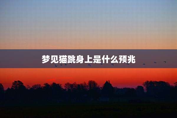 梦见猫跳身上是什么预兆