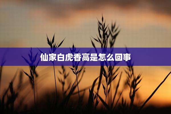 仙家白虎香高是怎么回事