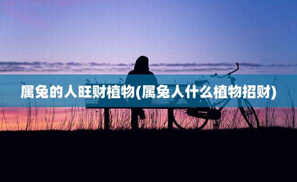 属兔的人旺财植物(属兔人什么植物招财)